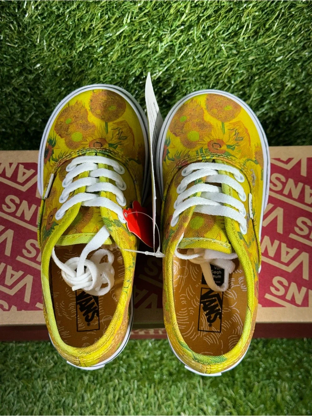 Vans rare vincent